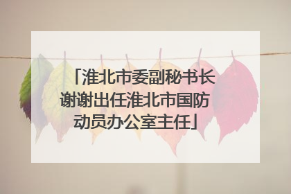淮北市委副秘书长谢谢出任淮北市国防动员办公室主任