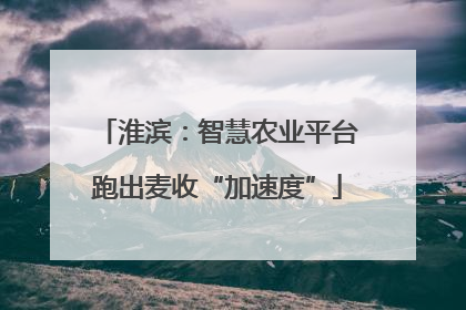 淮滨：智慧农业平台跑出麦收“加速度”