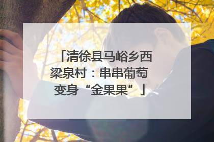 清徐县马峪乡西梁泉村：串串葡萄变身“金果果”