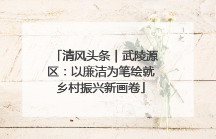 清风头条｜武陵源区：以廉洁为笔绘就乡村振兴新画卷