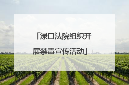 渌口法院组织开展禁毒宣传活动