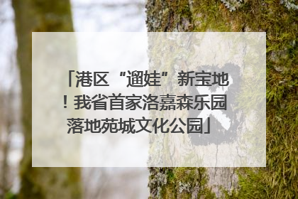港区“遛娃”新宝地！我省首家洛嘉森乐园落地苑城文化公园