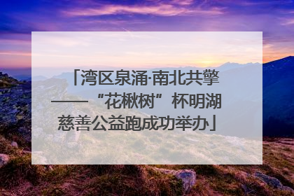 湾区泉涌·南北共擎——“花楸树”杯明湖慈善公益跑成功举办