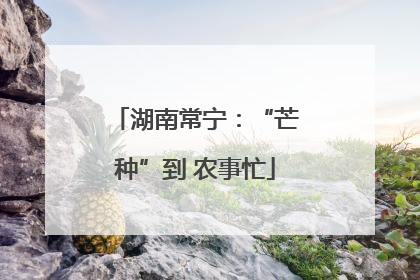 湖南常宁：“芒种”到 农事忙
