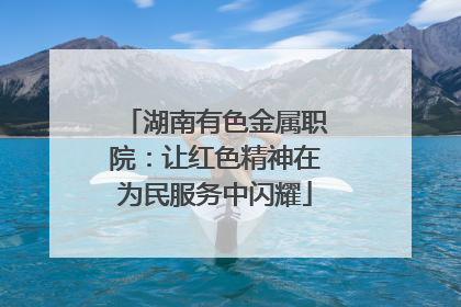 湖南有色金属职院：让红色精神在为民服务中闪耀