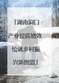 湖南洞口：产业提质增效 绘就乡村振兴新图景
