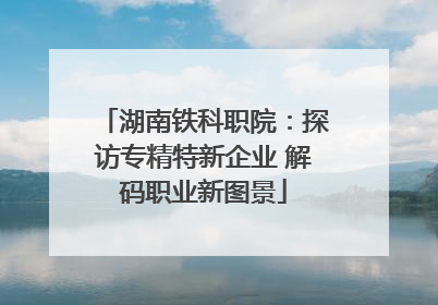 湖南铁科职院：探访专精特新企业 解码职业新图景