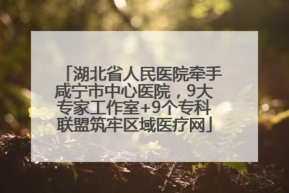 湖北省人民医院牵手咸宁市中心医院，9大专家工作室+9个专科联盟筑牢区域医疗网