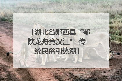 湖北省郧西县“鄂陕龙舟竞汉江” 传统民俗引热潮