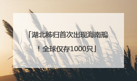 湖北秭归首次出现海南鳽！全球仅存1000只