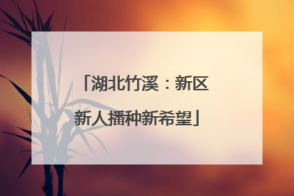 湖北竹溪：新区新人播种新希望