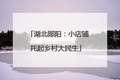 湖北郧阳：小店铺托起乡村大民生