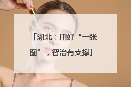 湖北：用好“一张图”，智治有支撑