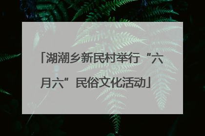 湖潮乡新民村举行“六月六”民俗文化活动