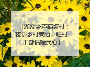 湖潮乡芦猫塘村：夜访乡村巷陌，驻村干部情暖民心