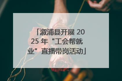 溆浦县开展 2025 年“工会帮就业”直播带岗活动