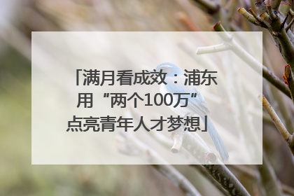 满月看成效：浦东用“两个100万”点亮青年人才梦想