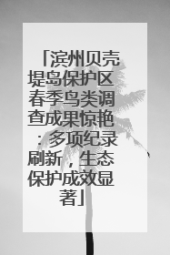 滨州贝壳堤岛保护区春季鸟类调查成果惊艳：多项纪录刷新，生态保护成效显著