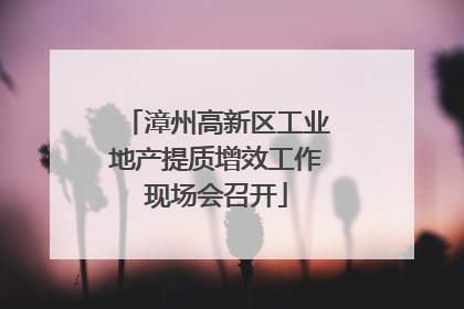 漳州高新区工业地产提质增效工作现场会召开
