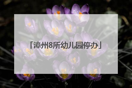 漳州8所幼儿园停办