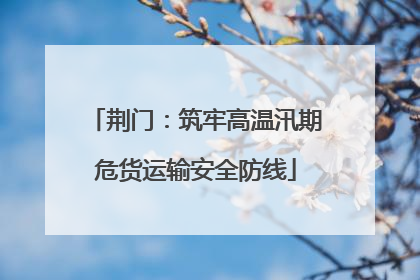 荆门：筑牢高温汛期危货运输安全防线