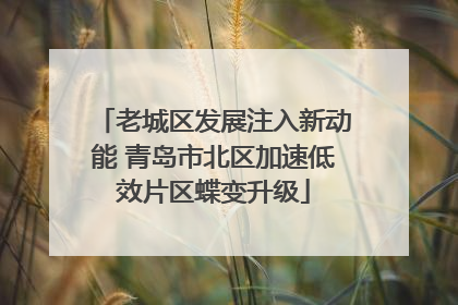 老城区发展注入新动能 青岛市北区加速低效片区蝶变升级