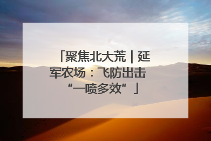 聚焦北大荒｜延军农场：飞防出击 “一喷多效”