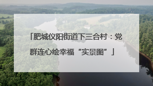 肥城仪阳街道下三合村：党群连心绘幸福“实景图”