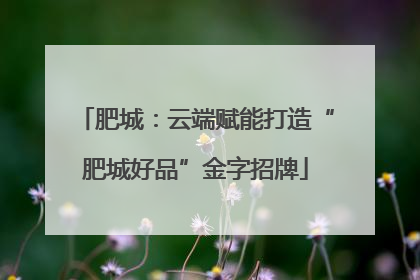 肥城：云端赋能打造“肥城好品”金字招牌