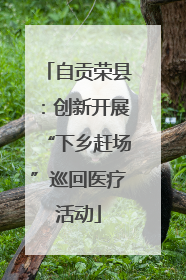 自贡荣县：创新开展“下乡赶场”巡回医疗活动