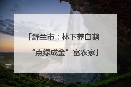 舒兰市：林下养白鹅 “点绿成金”富农家