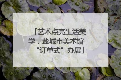 艺术点亮生活美学，盐城市美术馆“订单式”办展