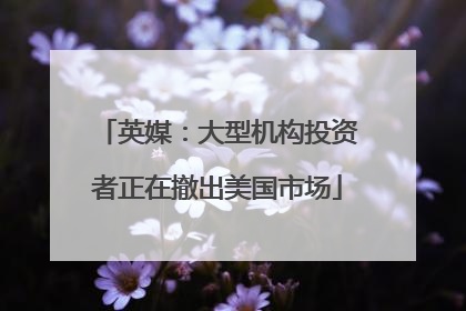 英媒：大型机构投资者正在撤出美国市场