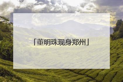 董明珠现身郑州