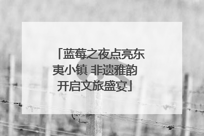 蓝莓之夜点亮东夷小镇 非遗雅韵开启文旅盛宴