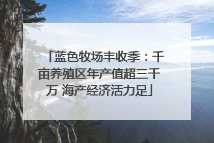 蓝色牧场丰收季：千亩养殖区年产值超三千万 海产经济活力足