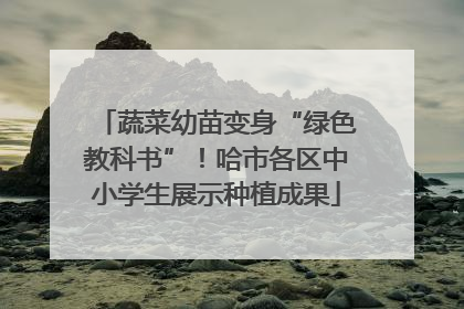 蔬菜幼苗变身“绿色教科书”！哈市各区中小学生展示种植成果