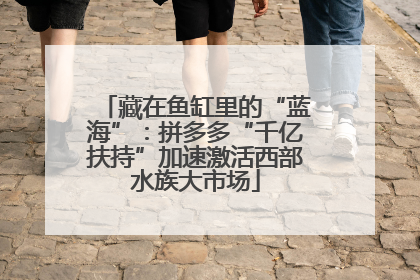 藏在鱼缸里的“蓝海”：拼多多“千亿扶持”加速激活西部水族大市场