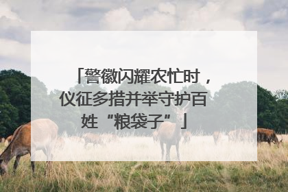 警徽闪耀农忙时，仪征多措并举守护百姓“粮袋子”