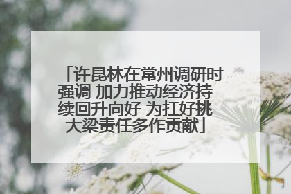 许昆林在常州调研时强调 加力推动经济持续回升向好 为扛好挑大梁责任多作贡献