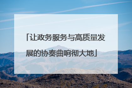 让政务服务与高质量发展的协奏曲响彻大地