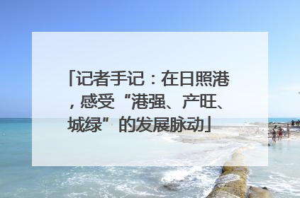 记者手记：在日照港，感受“港强、产旺、城绿”的发展脉动