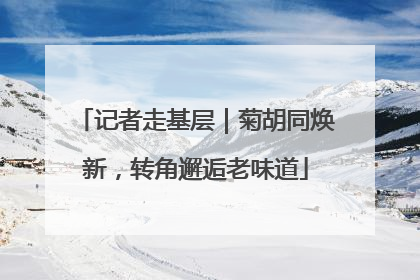 记者走基层｜菊胡同焕新，转角邂逅老味道
