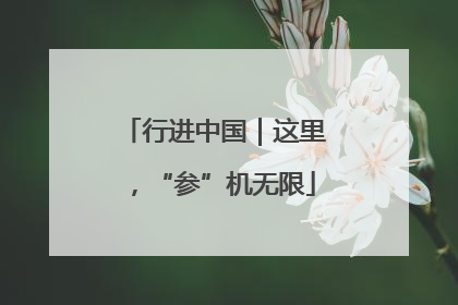 行进中国｜这里，“参”机无限