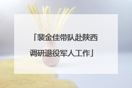 裴金佳带队赴陕西调研退役军人工作