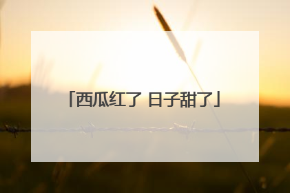 西瓜红了 日子甜了