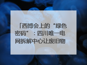 西博会上的“绿色密码”:四川唯一电网拆解中心让废旧物资“重生”|西博寻“新”记