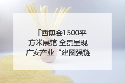 西博会1500平方米展馆 全景呈现广安产业“建圈强链”｜西博视界