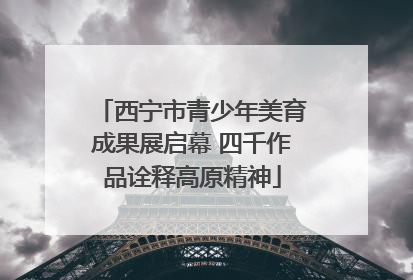 西宁市青少年美育成果展启幕 四千作品诠释高原精神