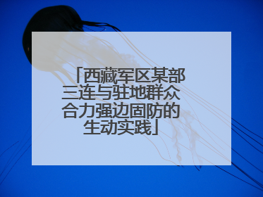 西藏军区某部三连与驻地群众合力强边固防的生动实践